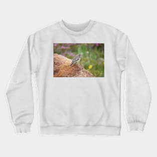 American pipit (Anthus rubescens) Crewneck Sweatshirt